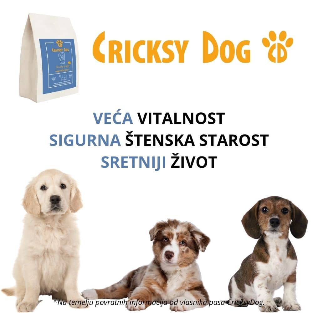 Chucky Hipoalergena suha hrana za pse od govedine - Slika 9