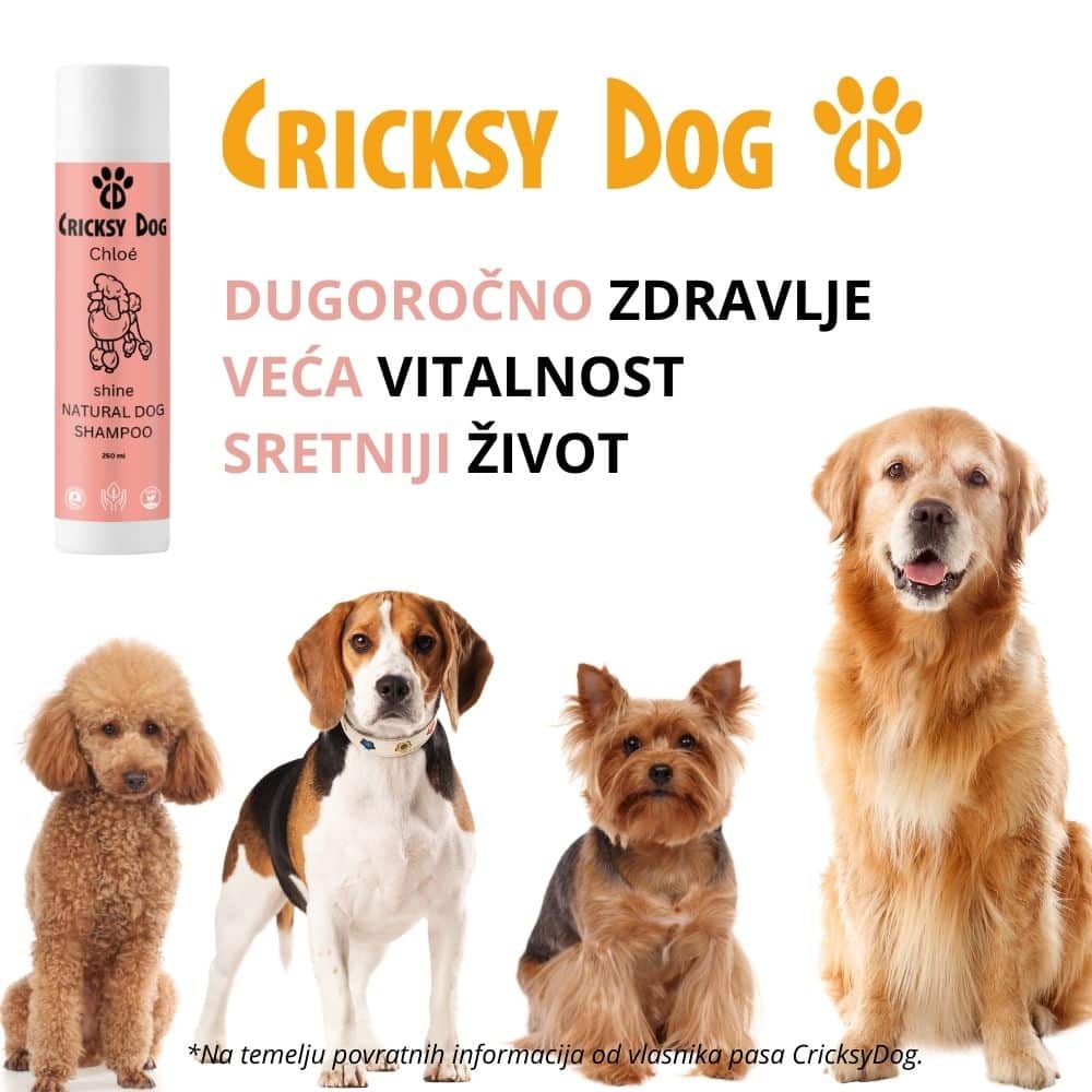 Chloé Shine šampon za pse: s mirisom citrusa i vanilije (za ekstra mekanu i sjajnu dlaku) - Slika 9