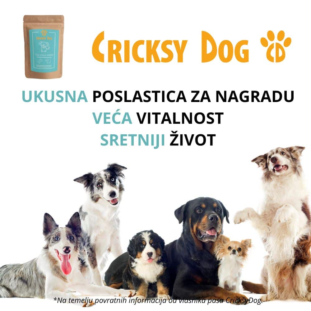 Trainy poslastica od janjetine s rižom (poslastica za trening) – 200g - Slika 8